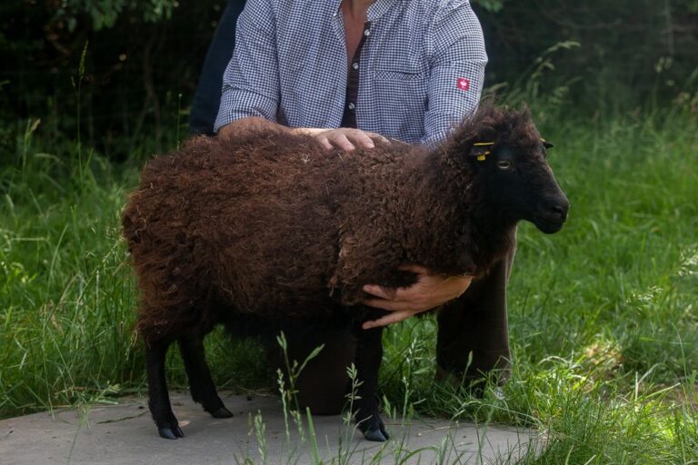 AG-Treffen bei Apollonia 2019 (21)