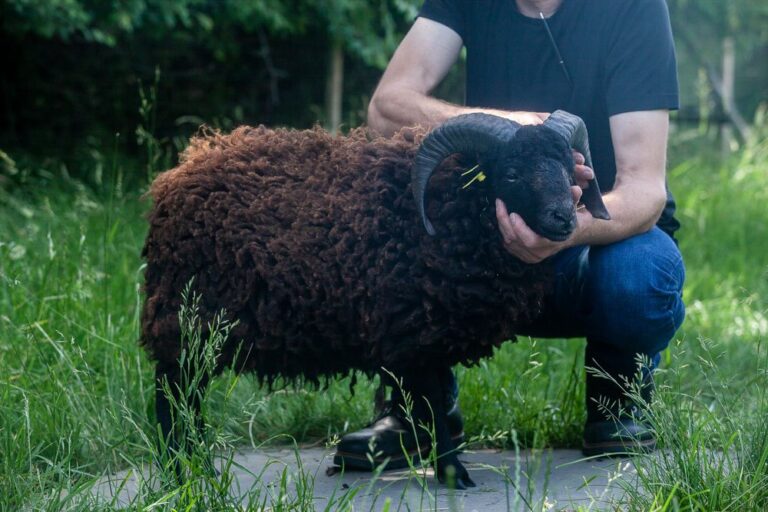 AG-Treffen bei Apollonia 2019 (33)