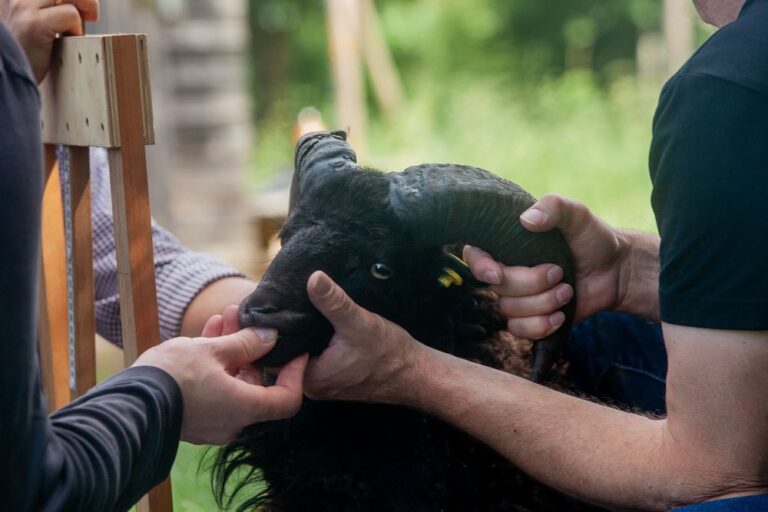 AG-Treffen bei Apollonia 2019 (39)